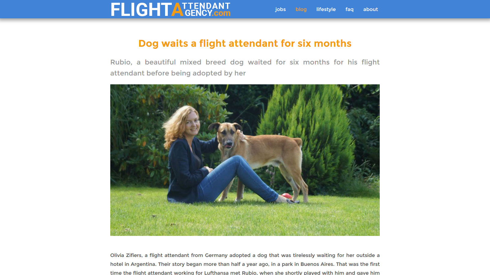flightattendantagency4